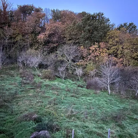 Villapila Holiday home